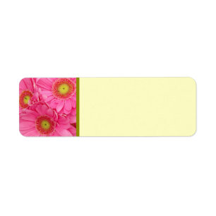 Pink Gerber Daisies Return Address Label