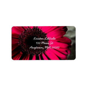 Pink Gerber Daisy Address Label