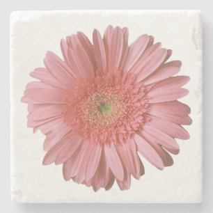Pink Gerber Daisy Stone Coaster