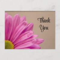 Pink Gerber Daisy Thank You