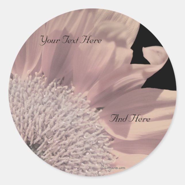 Pink Gerbera Custom Envelope Seals (Front)