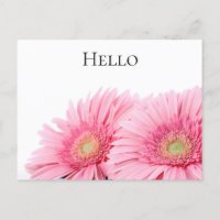 Pink Gerbera Daisies Elegant Photography