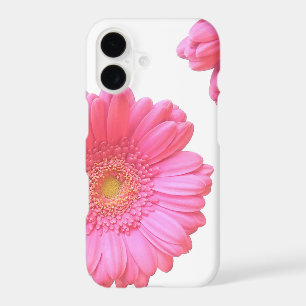 Pink gerbera daisy