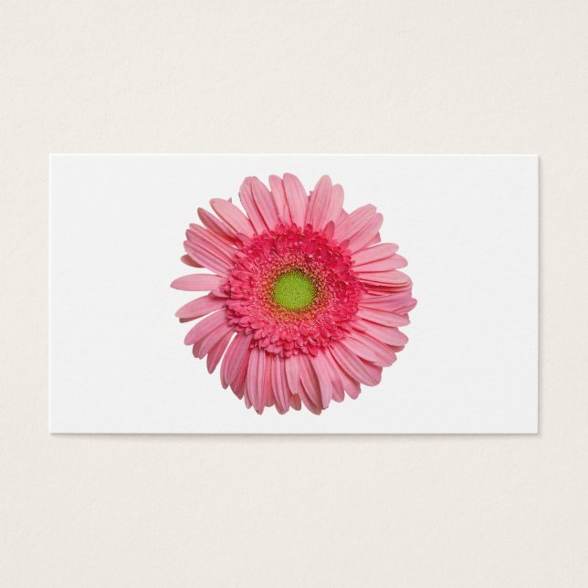 Pink Gerbera Daisy (Front)