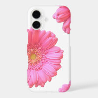 Pink gerbera daisy