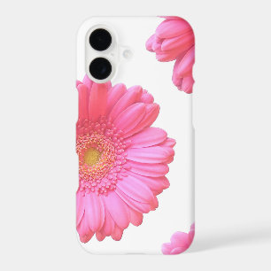 Pink gerbera daisy
