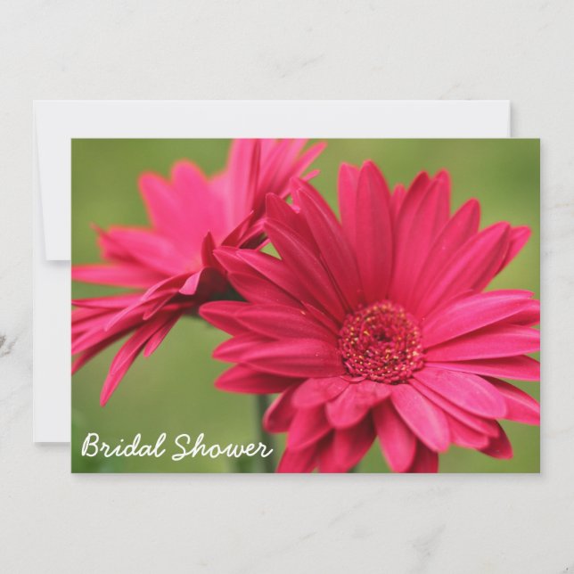 Pink Gerbera Daisy Bridal Shower Invitation (Front)