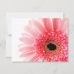 Pink Gerbera Daisy Card