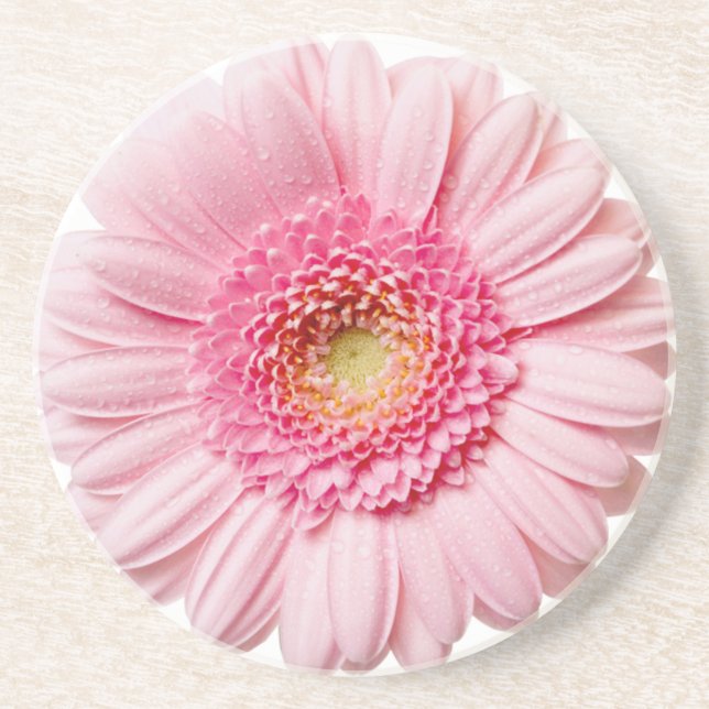 Pink Gerbera Daisy Coaster (Front)