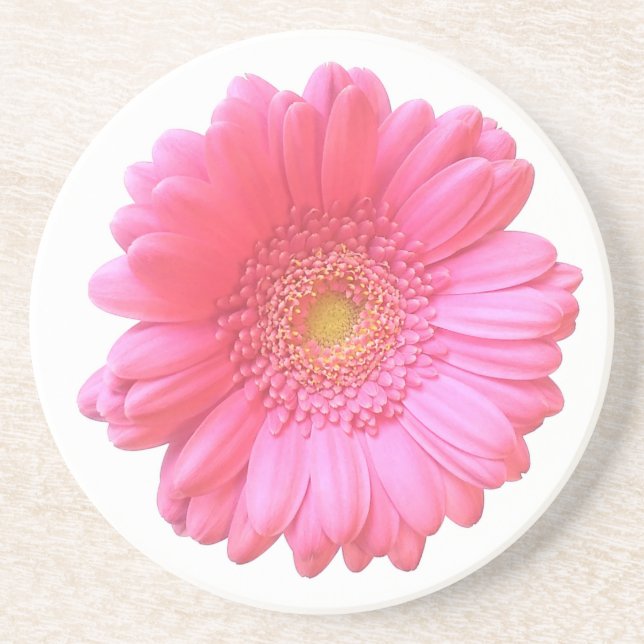 Pink gerbera daisy coaster (Front)