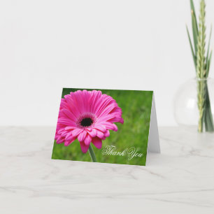 Pink Gerbera Daisy Flower Thank You Greeting Card