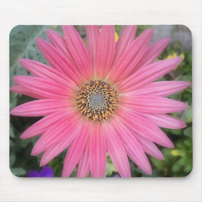 Pink Gerbera Daisy Flowers Mousepad (Front)
