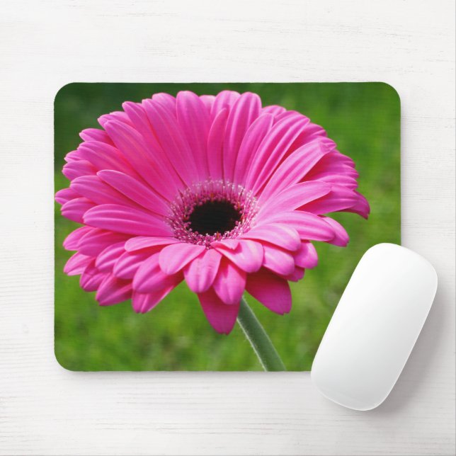Pink Gerbera Daisy Mouse Pad (With Mouse)