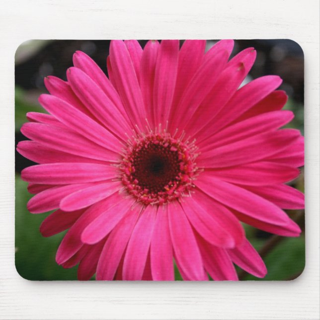Pink Gerbera Daisy Mouse Pad (Front)