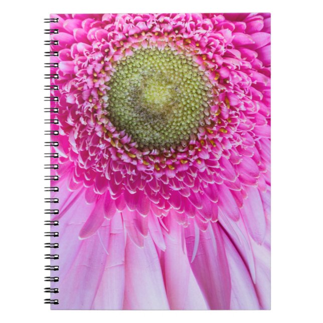 Pink Gerbera Daisy Notebook (Front)