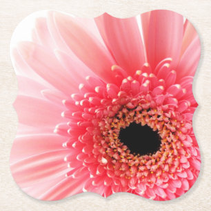 Pink Gerbera Daisy Paper Coaster