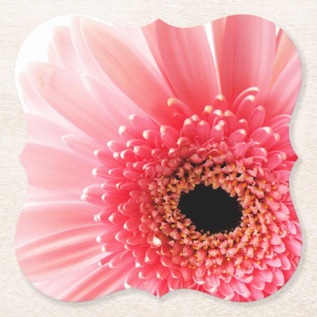 Pink Gerbera Daisy Paper Coaster (Front)