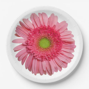 Pink Gerbera Daisy Paper Plate