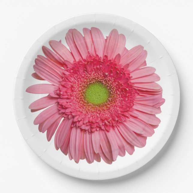Pink Gerbera Daisy Paper Plate (Front)
