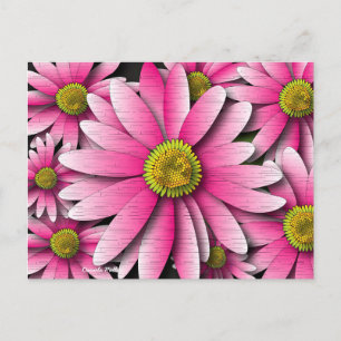 Pink Gerbera Daisy Postcard