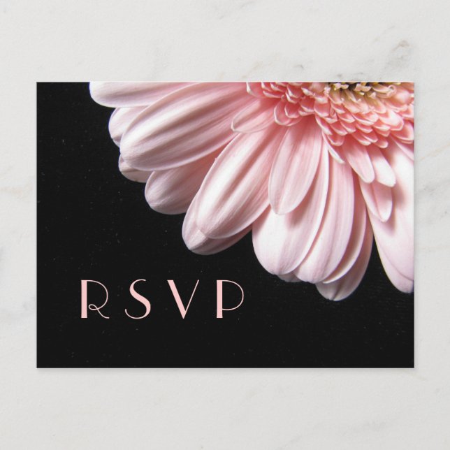 Pink Gerbera Daisy RSVP Postcard (Front)