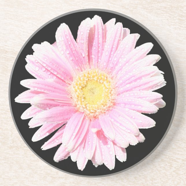 Pink Gerbera Daisy Sandstone Coaster (Front)