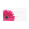 Pink Gerbera Daisy Special Occasion Place Card