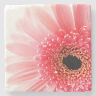Pink Gerbera Daisy Stone Coaster
