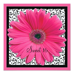 Pink Gerbera Daisy Sweet 16 Birthday Invitation