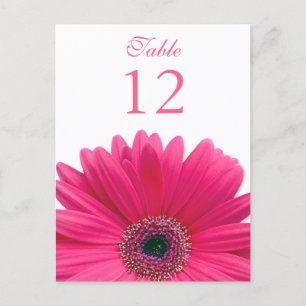 Pink Gerbera Daisy Table Number Card