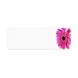 Pink Gerbera Daisy Wedding Blank Address Labels
