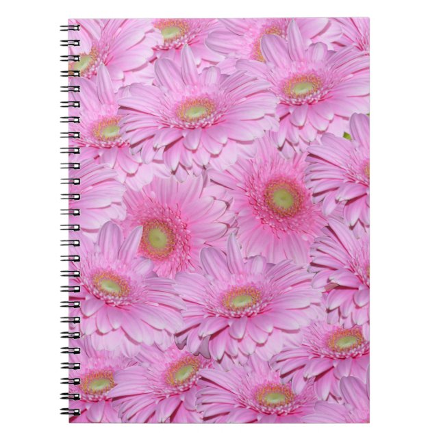 Pink Gerbera Flower Clusters,  Notebook (Front)