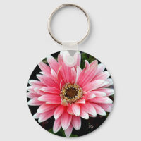 Pink Gerbera