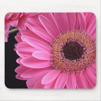 Pink Gerbera Mouse Pad