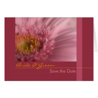 Pink Gerbera Save the Date Card