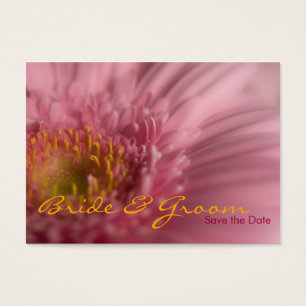 Pink Gerbera • Save the Date Mini Card