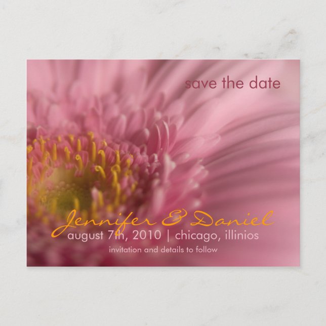 Pink Gerbera • Save the Date Postcard (Front)