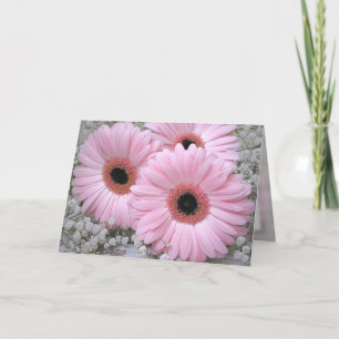 Pink Gerberas - Birthday Card