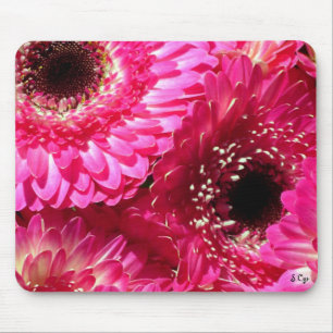 Pink Gerberas Mouse Pad