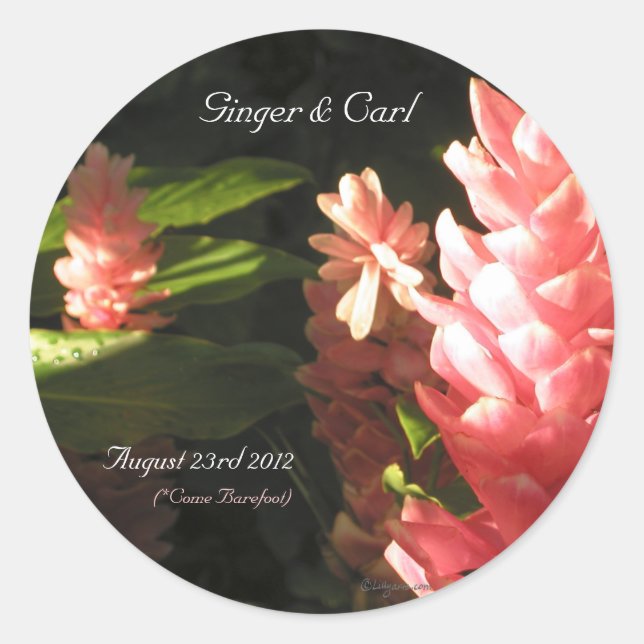 Pink Ginger Tropical Flowers Envelope Seals (Front)