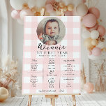 Pink Gingham First Birthday Milestone Timeline Poster<br><div class="desc">Celebrate the first 12 months of your little one with this first birthday milestone sign. Customise the sign with your baby's yearly milestones. To add text to the design simply select the "Customise It" button above for more advanced customisation features.</div>