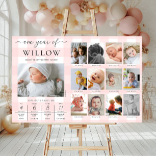 Pink Gingham First Birthday Photo Milestone Poster