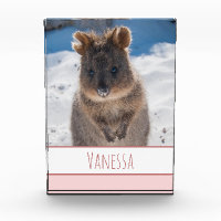 Pink Girls Personalised Quokka on the Beach