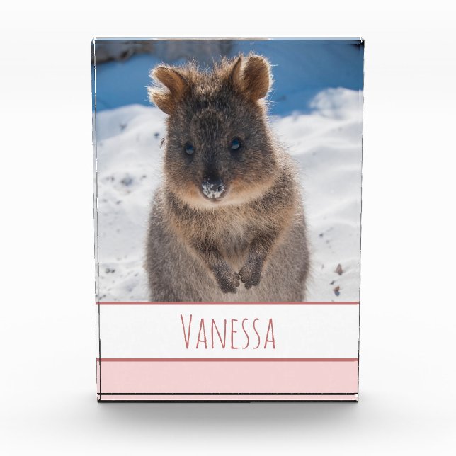 Pink Girls Personalised Quokka on the Beach Photo Block (Front)