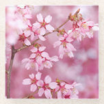 Pink Glass Coster Coaster<br><div class="desc">Add some beauty to your life!</div>