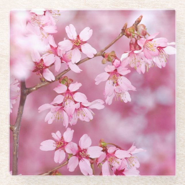 Pink Glass Coster Coaster (Front)