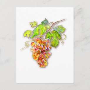 Pink Golden Grapes – Botanical Watercolor Postcard