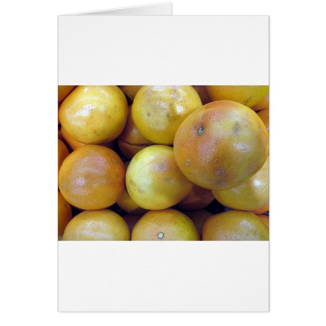 Pink Grapefruit (Front)