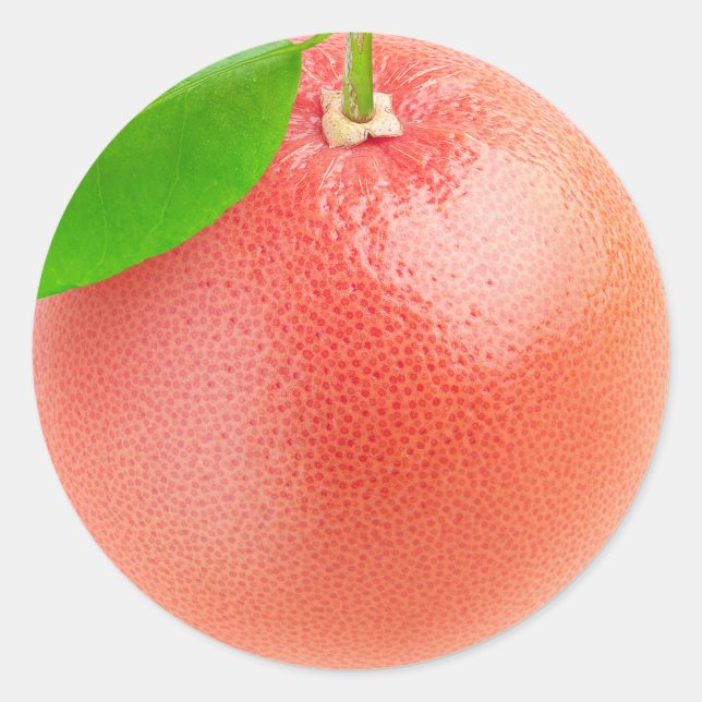 Pink grapefruit macro classic round sticker (Front)