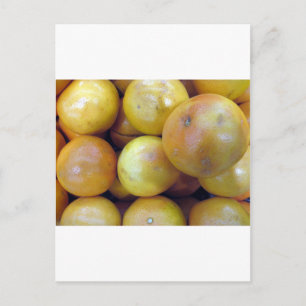 Pink Grapefruit Postcard